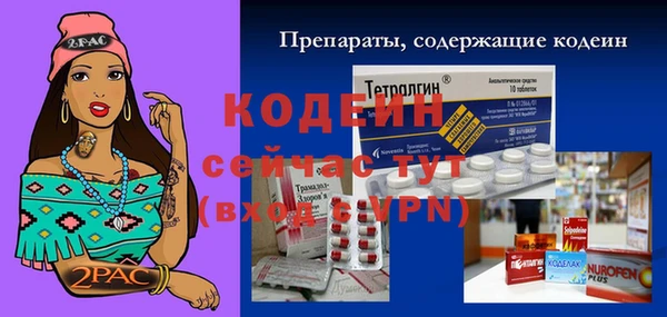 СК Киренск