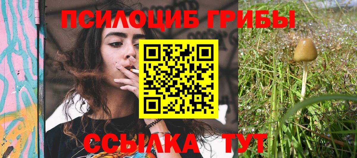 Псилоцибиновые грибы Psilocybe  купить наркотик  Галлюциногенные грибы мухоморы  Кирово-Чепецк  Вход с VPN 